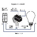 49199 2.webp