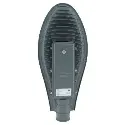cobra 2.webp