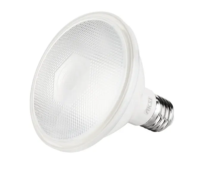 Foco LED exterior 12W PAR 30 IP65