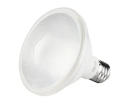 Foco LED exterior 12W PAR 30 IP65